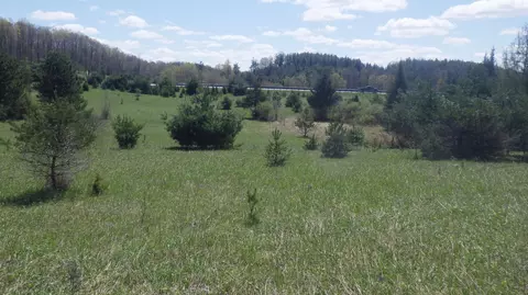 S 39 Road, Cadillac, MI 49601