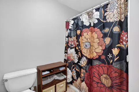 Bath - 4410 Clinton Rd, Jackson, MI 49201 photo 2 of 4