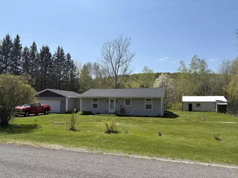 16402 Big Four Rd, Bear Lake, MI 49614