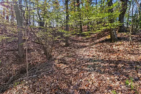 N Silver Ridge Road, Mears, MI 49436