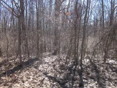 44 Th Ave, Mattawan, MI 49071 photo 3