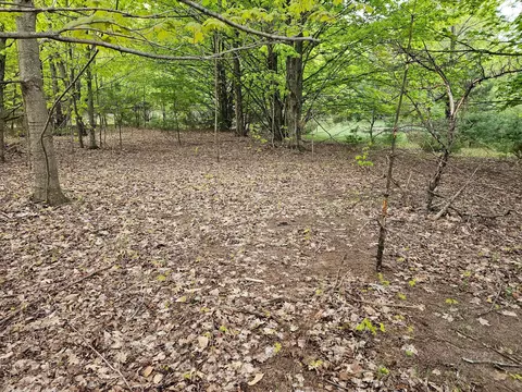 sadie lane, Bear Lake, MI 49614