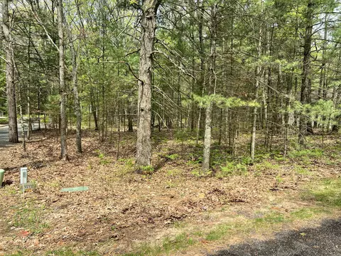 lot95 Iroquois Rd, Pentwater, MI 49449