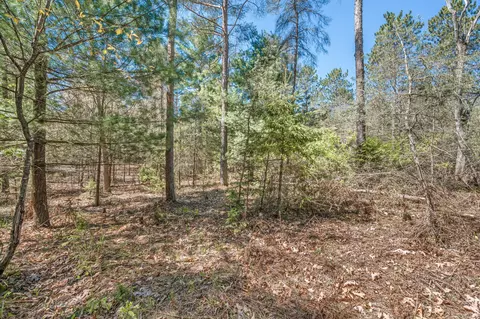 8 5 Acre Vl Three Mile Rd #PARCELS A-L, Hersey, MI 49639