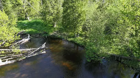 V/l E Pomeroy Springs Road, Irons, MI 49644