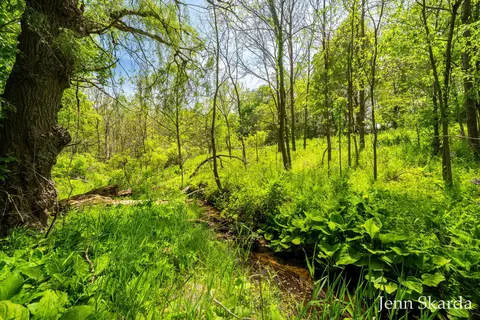 Other - 415 N State Rd, Belding, MI 48809 photo 12 of 12