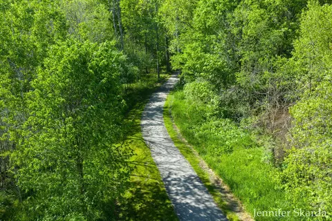 View/Area - 415 N State Rd, Belding, MI 48809 photo 4 of 7