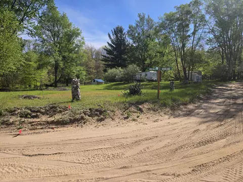 4568 E Deer Cove Rd, Custer, MI 49405