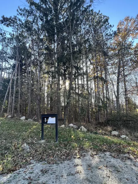 6825 Morrison Hls Ct, Dexter, MI 48130