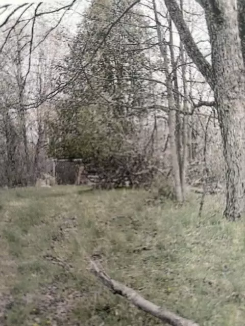 59790 County Road 380, Bangor, MI 49013