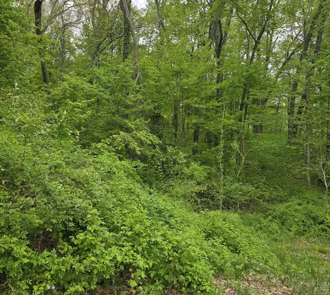 Vacant Crows Vu, Gregory, MI 48137 photo 3