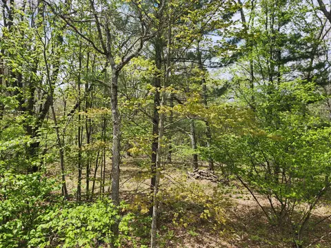 View/Area - 7296 E 40th St, Chase, MI 49623 photo 1 of 1