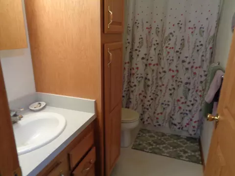 Bath - 6019 Abbott Rd, Reading, MI 49274 photo 1 of 4
