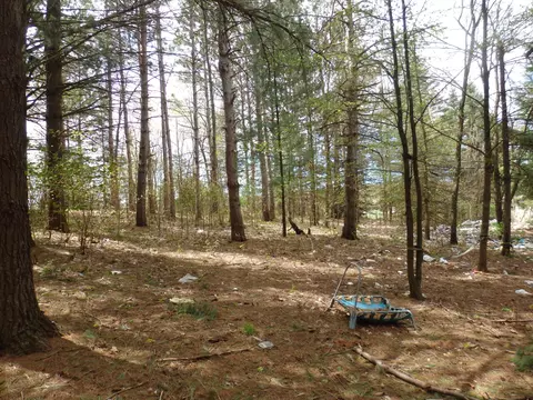 20192 9 Mile Rd, Copemish, MI 49625