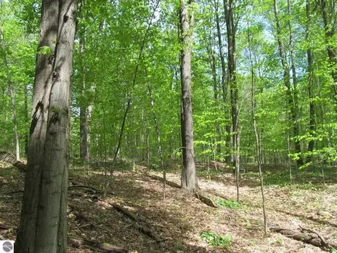 00 M-115, Tustin, MI 49688