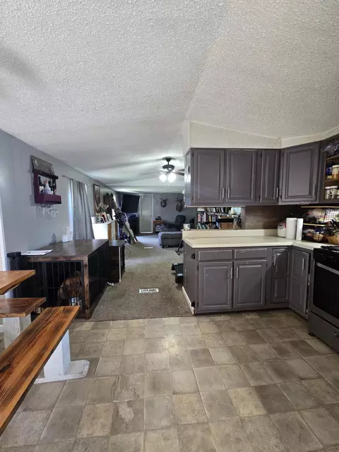 12495 5 Mile Rd, Evart, MI 49631 photo 5