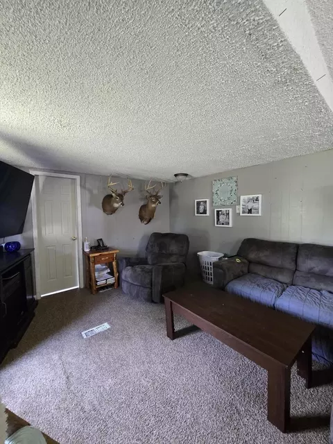 12495 5 Mile Rd, Evart, MI 49631 photo 16