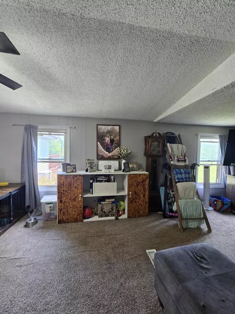 12495 5 Mile Rd, Evart, MI 49631 photo 14