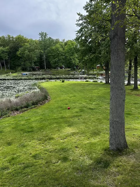 Exterior - 7880 Poplar Ln, Reading, MI 49274 photo 12 of 20