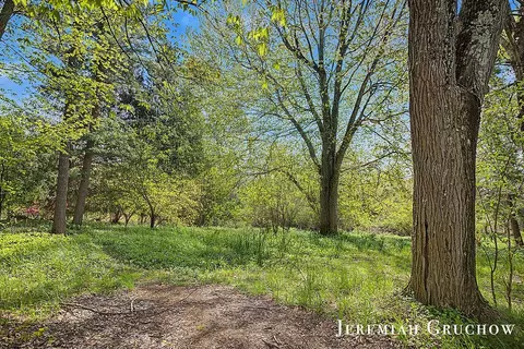 8725 Conservation St NE, Ada, MI 49301 photo 6
