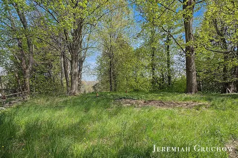 8725 Conservation St NE, Ada, MI 49301 photo 2