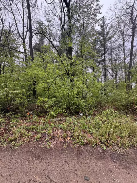 V/l Paw Paw Trail, Howard City, MI 49329