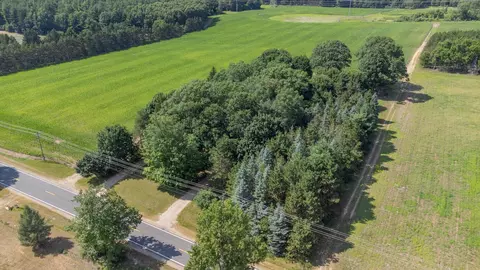 Other - 6854 E Garfield Rd, Hesperia, MI 49421 photo 20 of 30