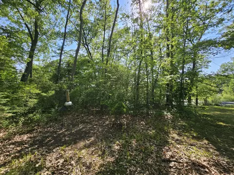 5350 Eze St, Reading, MI 49274 photo 22
