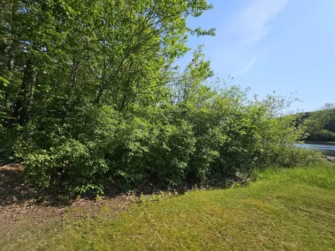 5350 Eze St, Reading, MI 49274 photo 15