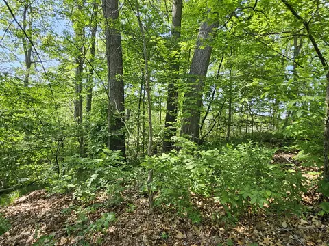 5350 Eze St, Reading, MI 49274 photo 30