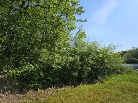 5350 Eze St, Reading, MI 49274 photo 16