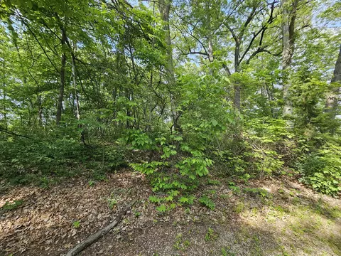 5350 Eze St, Reading, MI 49274 photo 32