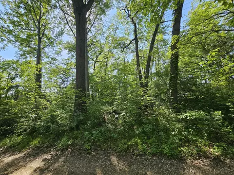 5350 Eze St, Reading, MI 49274 photo 27