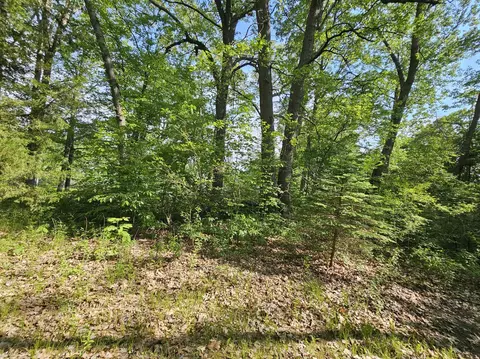 5350 Eze St, Reading, MI 49274 photo 23