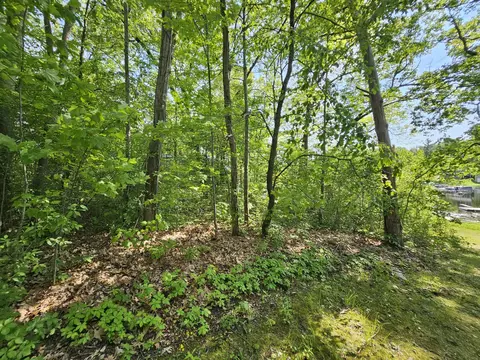 5350 Eze St, Reading, MI 49274 photo 21