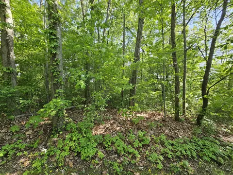 5350 Eze St, Reading, MI 49274 photo 8