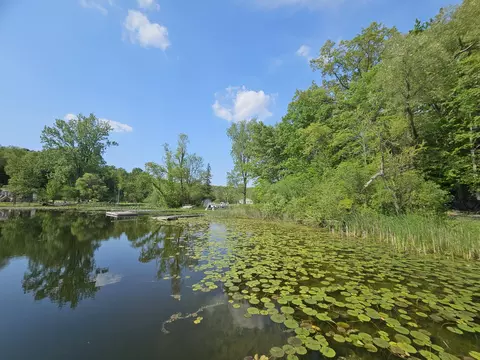5350 Eze St, Reading, MI 49274 photo 4
