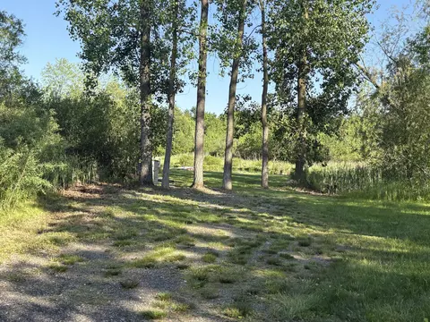 Willow Drive, Brooklyn, MI 49230 photo 20