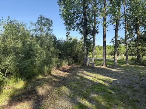 Willow Drive, Brooklyn, MI 49230 photo 19