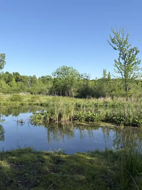 Willow Drive, Brooklyn, MI 49230 photo 4