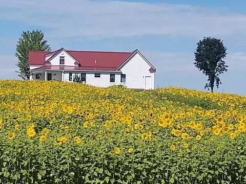 4072 20 Mile Rd, Marion, MI 49665
