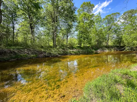 88 N Vl N Bush, Coleman, MI 48618