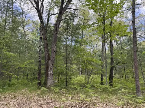 Harris Road, Wellston, MI 49689