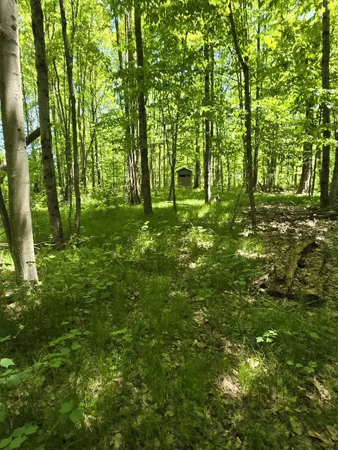 1389 S Oak Ave, White Cloud, MI 49349 photo 32