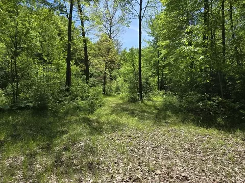 1389 S Oak Ave, White Cloud, MI 49349 photo 28