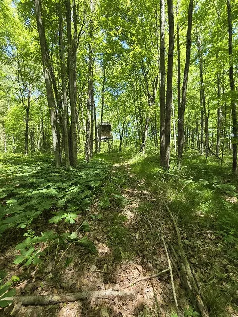 1389 S Oak Ave, White Cloud, MI 49349 photo 23