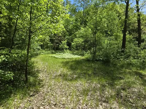 1389 S Oak Ave, White Cloud, MI 49349 photo 29