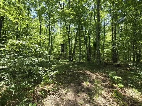 1389 S Oak Ave, White Cloud, MI 49349 photo 17