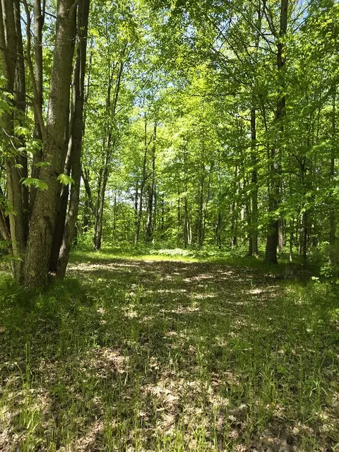 1389 S Oak Ave, White Cloud, MI 49349 photo 25