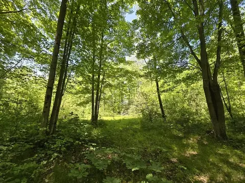 1389 S Oak Ave, White Cloud, MI 49349 photo 24